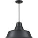 R Series 1 Light 17 inch Satin Black Indoor Pendant Ceiling Light
